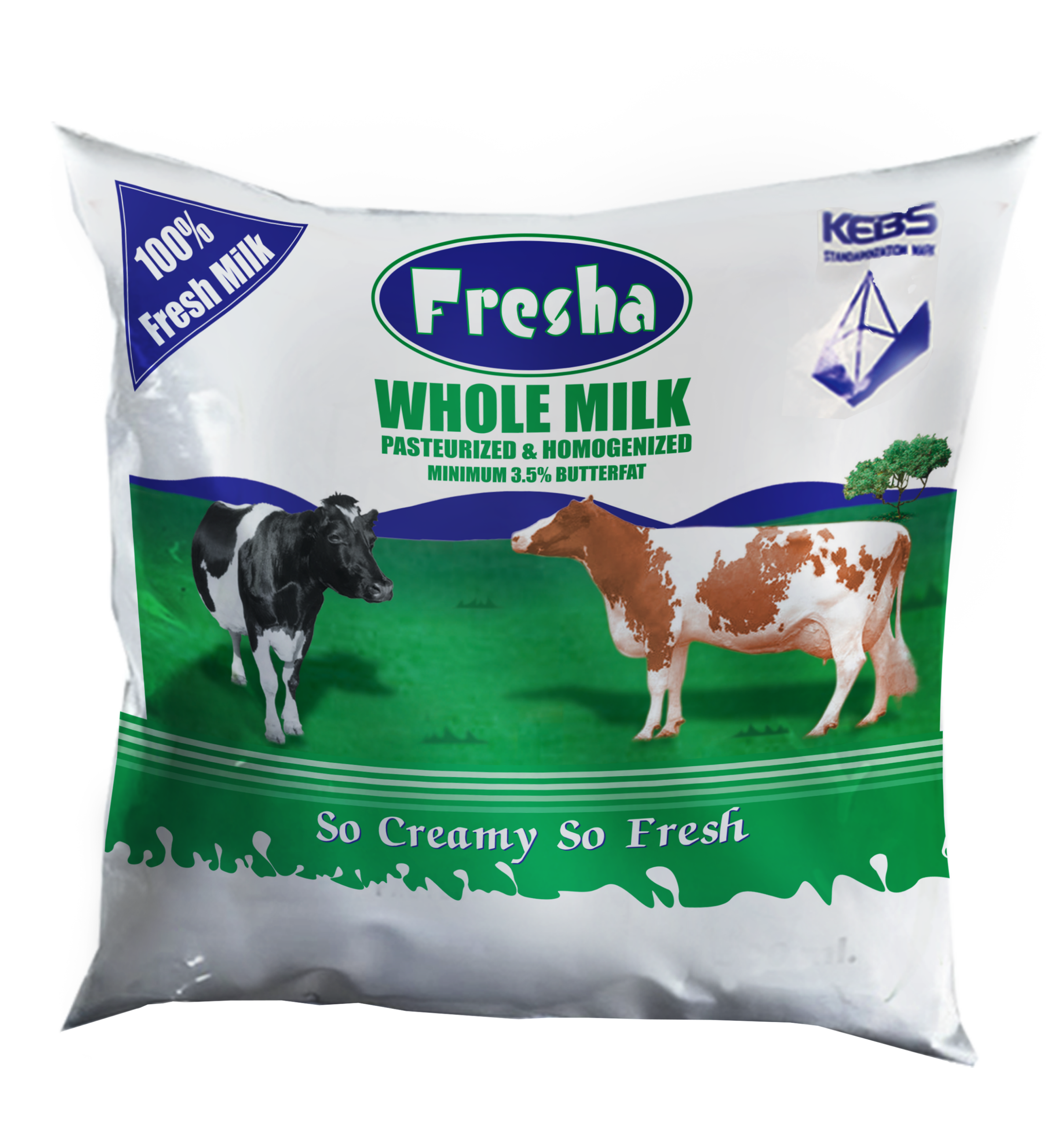 Fresha Logistics and Cold Chain Depot Infrastructure